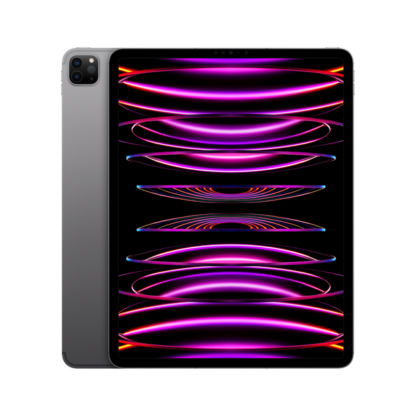 訳あり・アウトレット特集 M2 | 256GB Cellular + Wi-Fi Pro iPad 11-inch Chip Space - その他