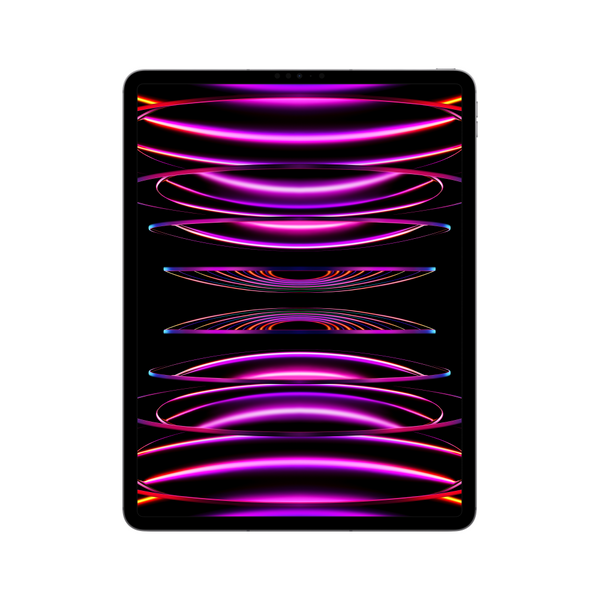 iPad_ProM2_WiFi_Cellular_Space