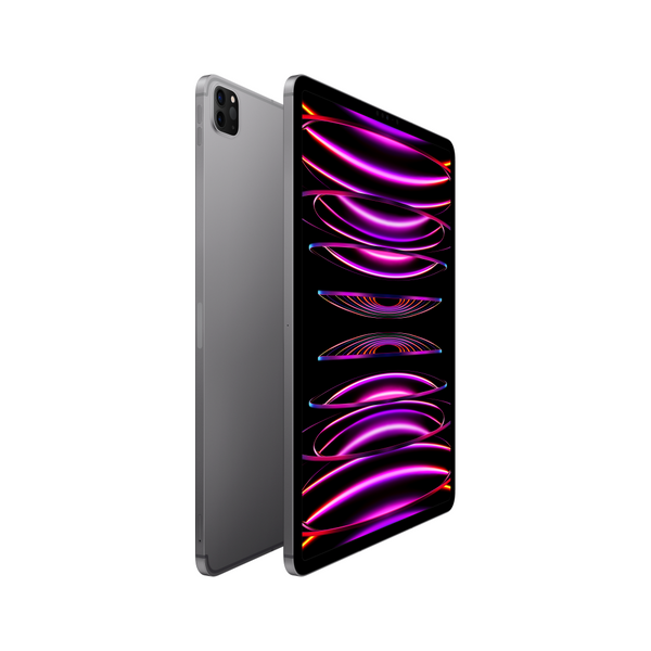【サイズ交換ＯＫ】 11-inch iPad Pro Wi-Fi + Cellular 256GB | M2 Chip - Space iPad本体