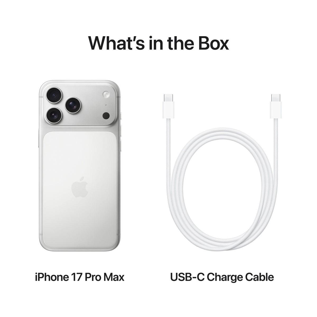 iPhone_17_Pro_Max_Silver_PDP_Image_Position_8__WWEN