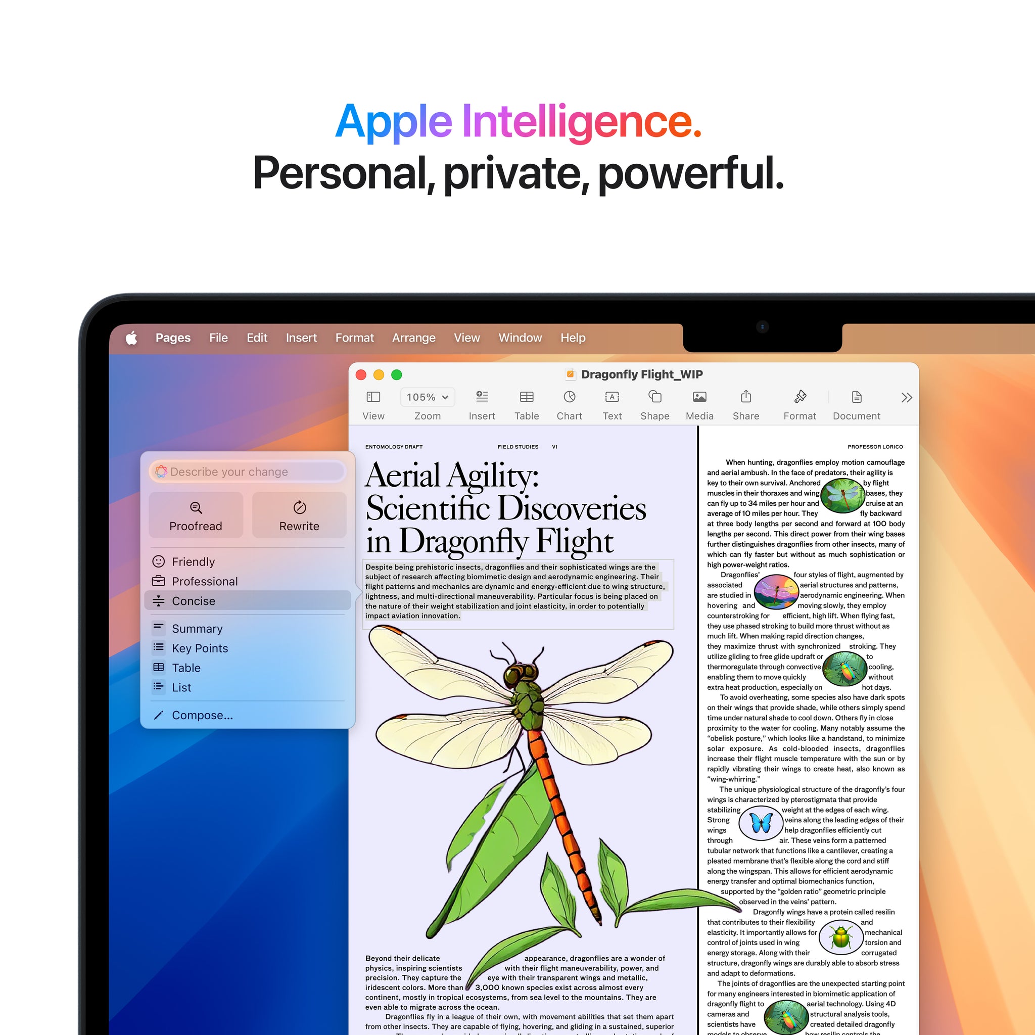 MacBook Air 13-inch | Apple M4 chip | 256GB SSD - Midnight