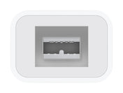 Apple Thunderbolt To Firewire - iStore Namibia