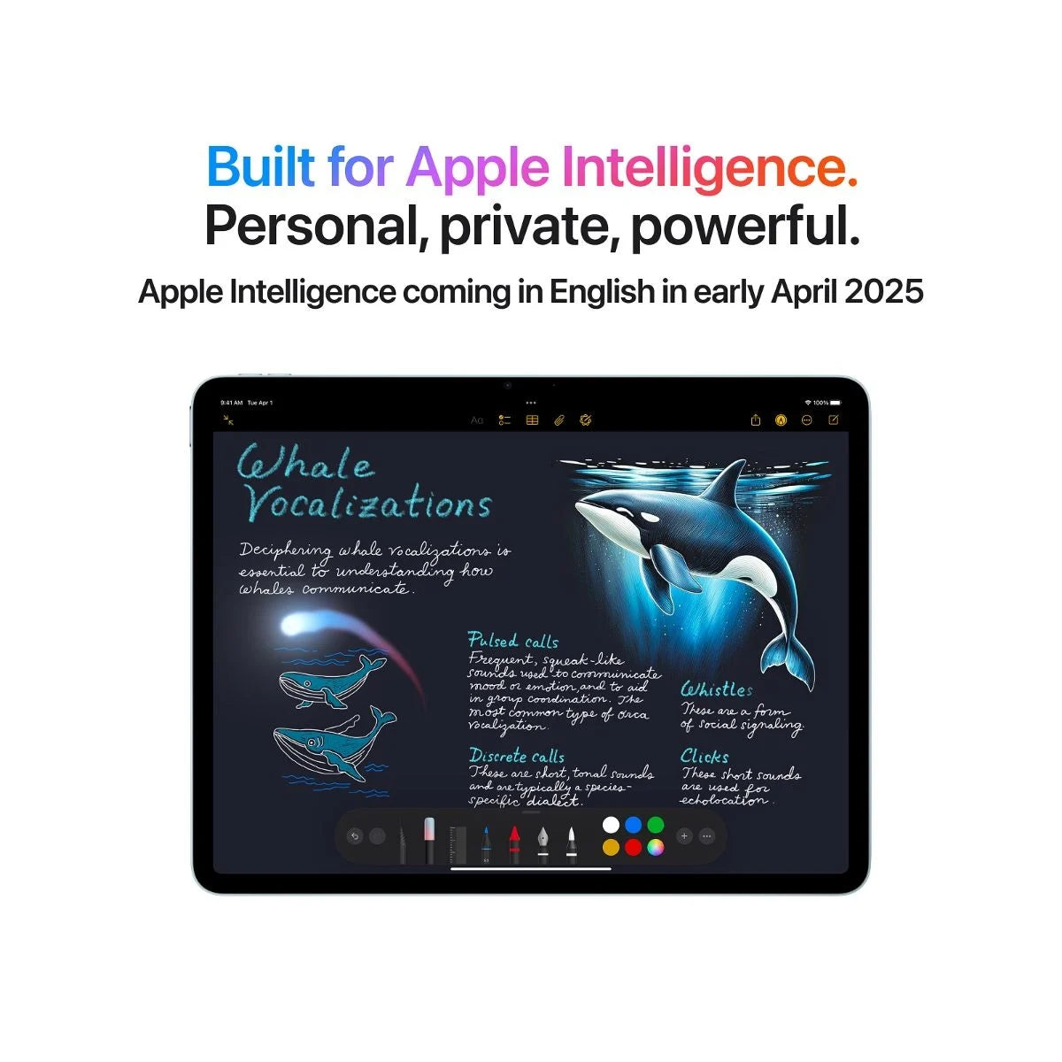 iPad Air 13-inch Wi-Fi + Cellular 128GB | Apple M3 | Space Grey