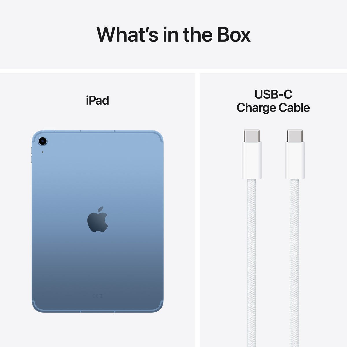 iPad Wifi + Cellular 128GB Blue