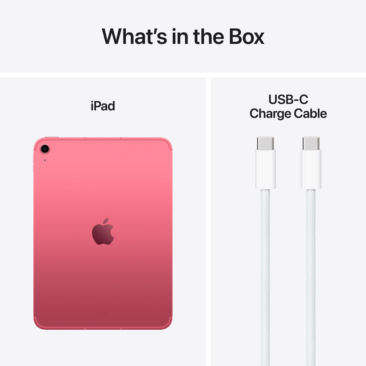 10.9-inch iPad WiFi + Cellular 64GB - Pink