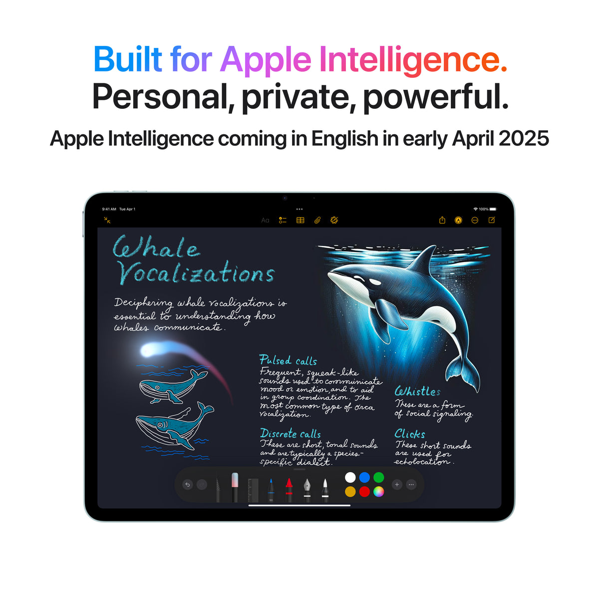 iPad Air 11-inch WIFI 1TB Starlight