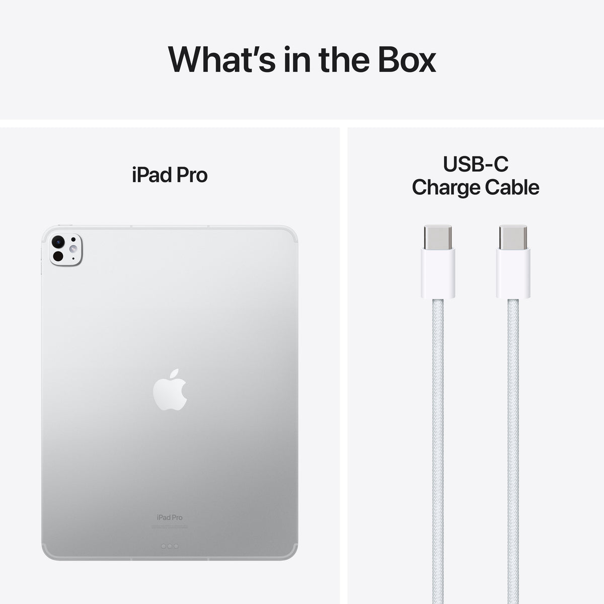 13-inch iPad Pro Wifi + Cellular 2TB Silver