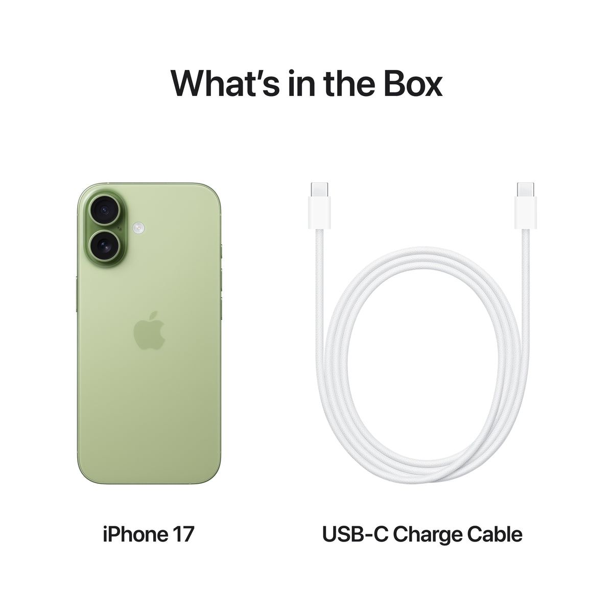 iPhone 17 Sage 256GB